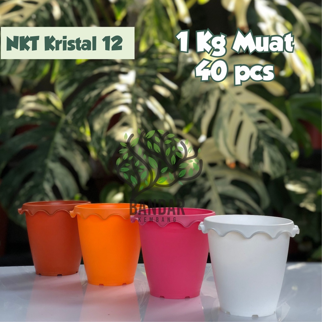 NKT Kristal 12 Pot Tanaman Hias Bunga Warna Warni Pot Plastik Kecil Pot Tinggi Putih