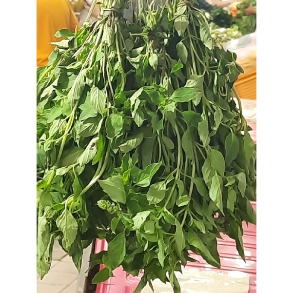 

Daun Kemangi/Ikat
