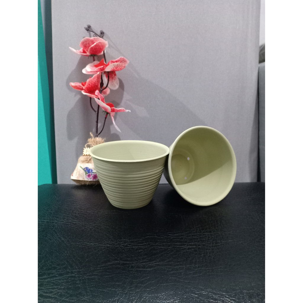  Pot Tawon 10 cm  Matcha Shopee Indonesia