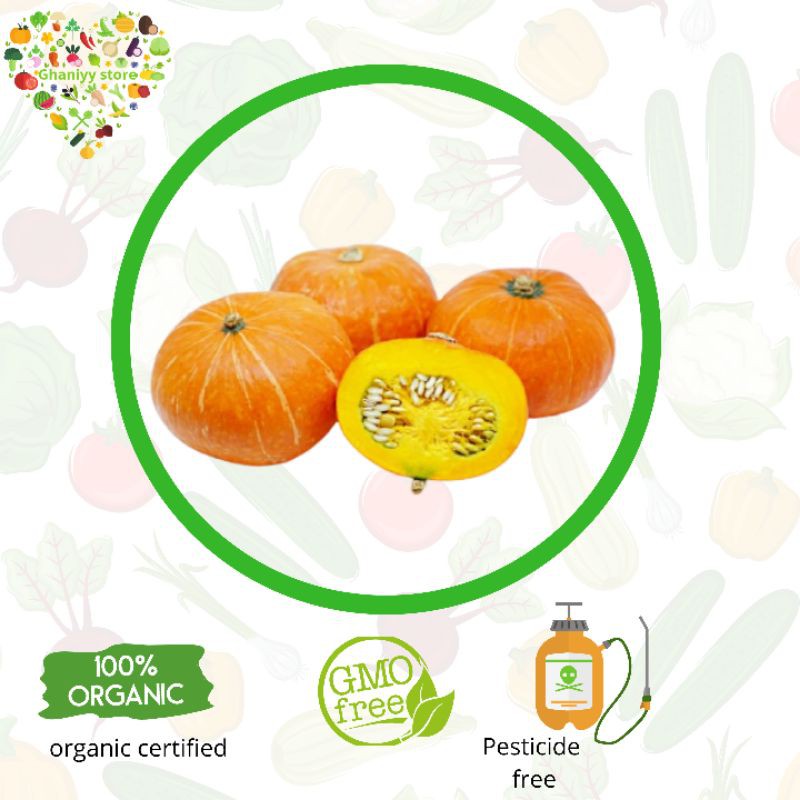 

sayur organik - kabocha organik
