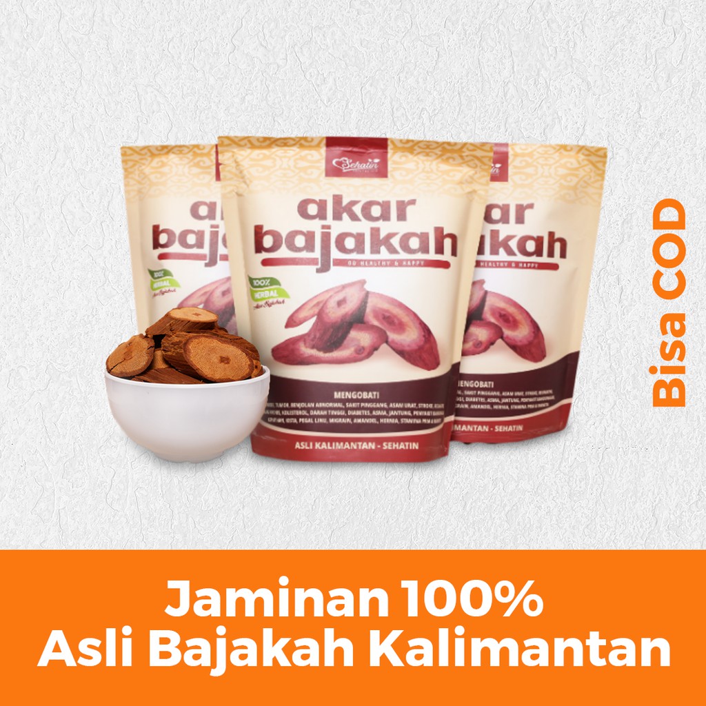 AKAR BAJAKAH ASLI KALIMANTAN KAYU BAJAKAH ORIGINAL