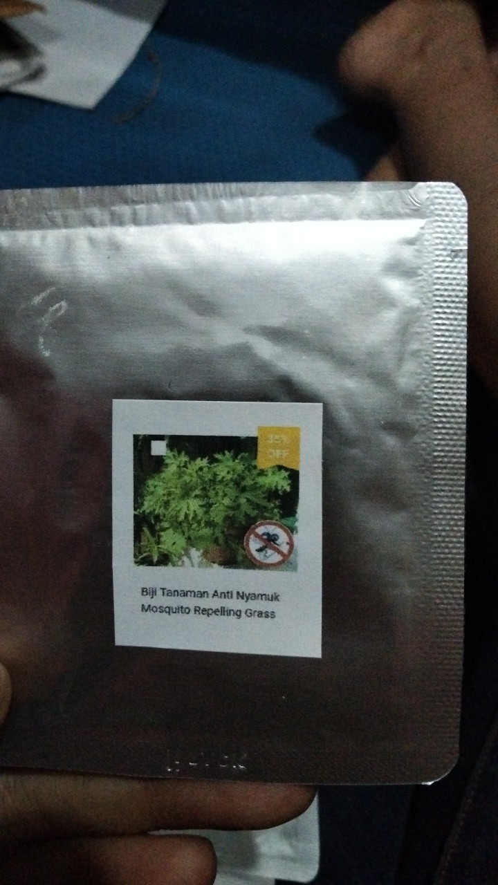 Biji Tanaman Anti Nyamuk Mosquito Repelling Grass
