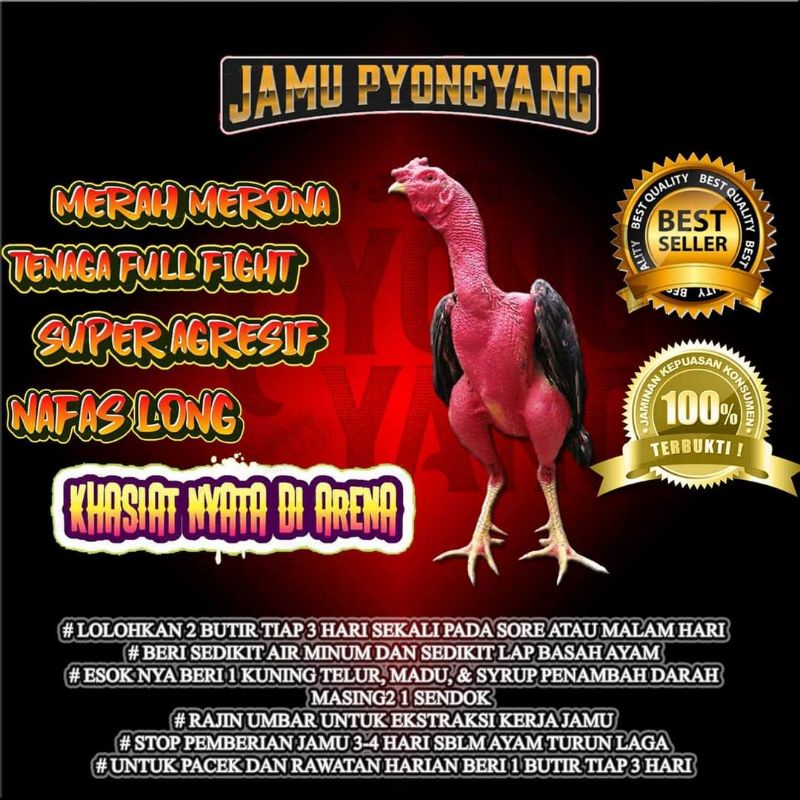 JAMU AYAM ADUAN TERBAIK SUPER AGRESIF FULL POWER JAMU PYONGYANG BOTOL