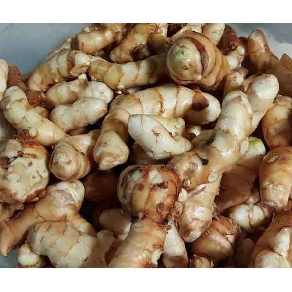 

KUNYIT / TEMU PUTIH 1000gr SEGAR CURCUMA ZEDOARIA ORDER LANGSUNG PANEN