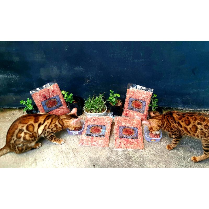 puyuh giling machiko