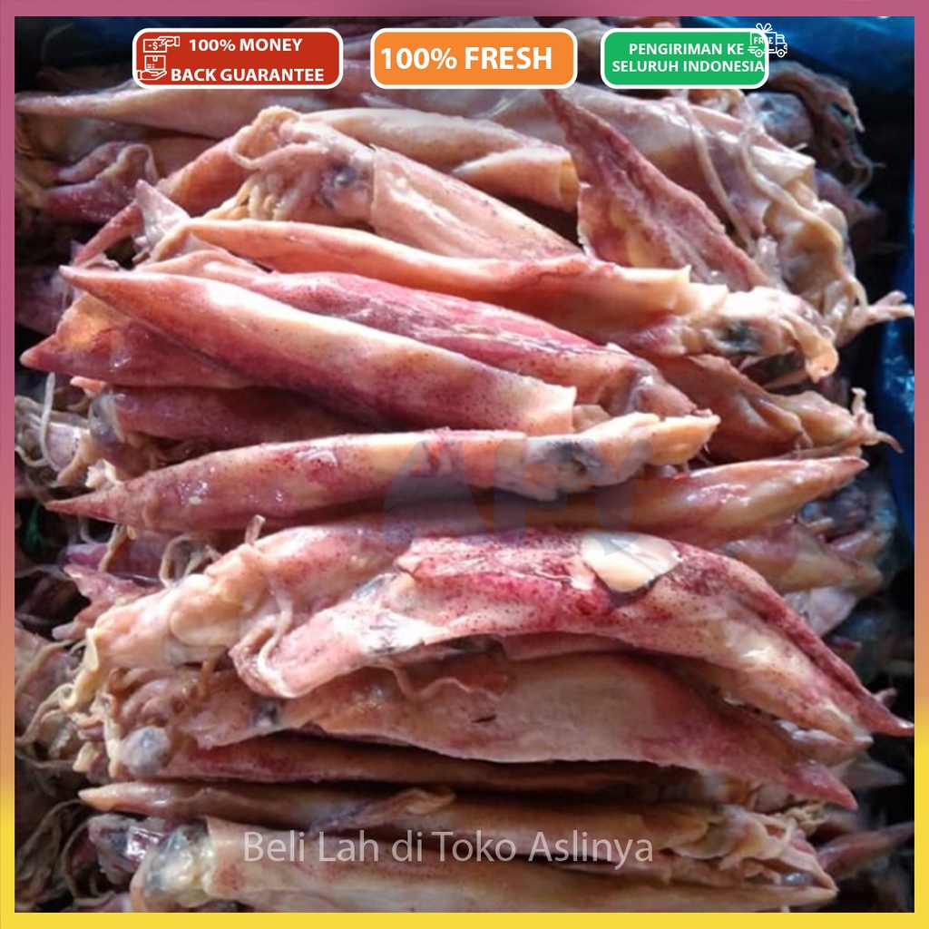 

PROMO Cumi Asin Gepeng 1Kg & 500gr / Besar & Tidak Alot / Ikan Asin Jakarta / Sontong Panjang Asin