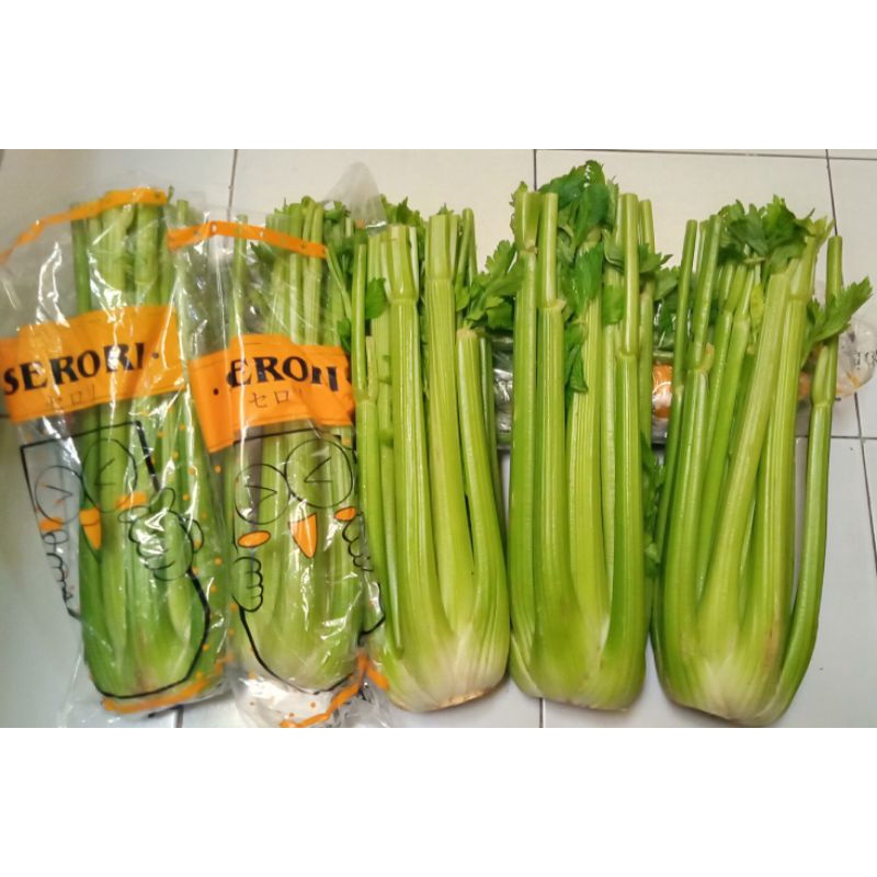 

Celery Stick Import Cina 1 kg / 500 gr