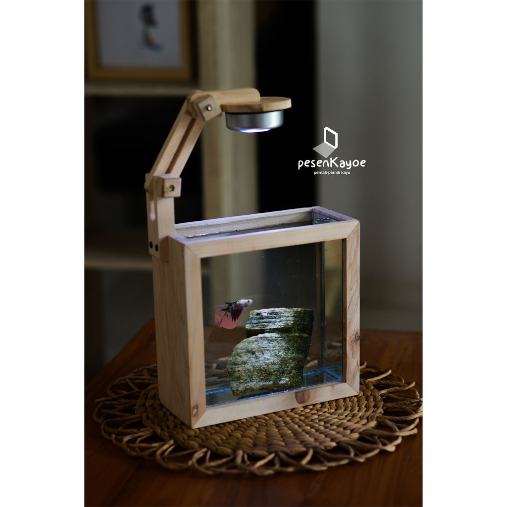 Aquarium Cupang Paludarium Unik Kayu Shopee Indonesia Aquarium kayu shopee