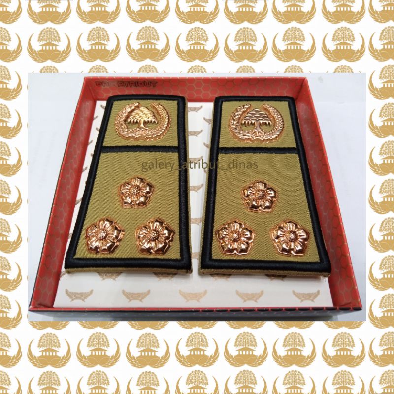 PANGKAT PNS BENGKULU GOLONGAN 2C