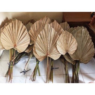 DAUN PALEM KERING #DRIED PALM|DEKORASI DAUN PALEM KERING ...