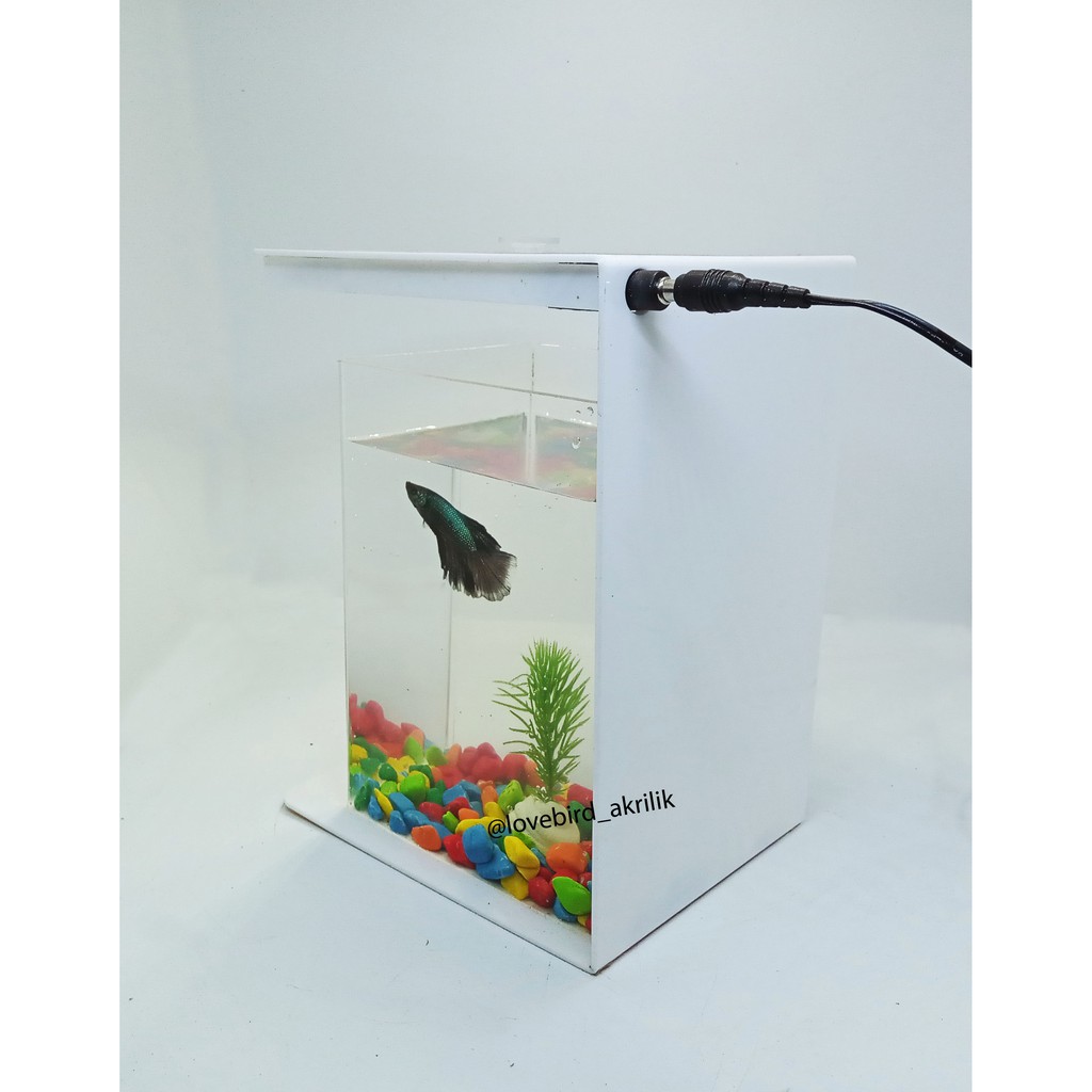 READY!!! Betta Fish Tank, Aquarium Mini Akrilik, Mini Aquascape, Akuarium cupang, Akuarium mini