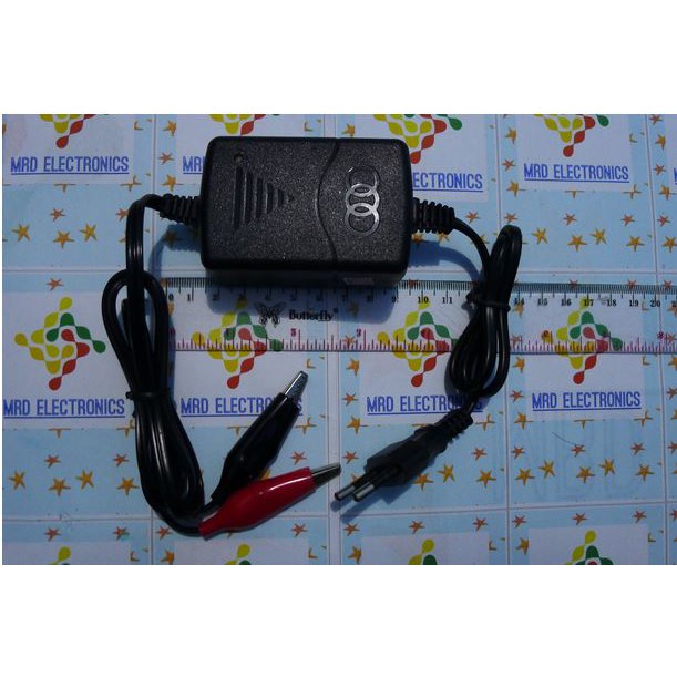 Charger Accu/Aki 12 V