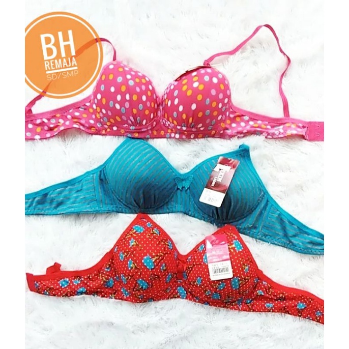 BH Remaja/BH SD/BH anak/minister anak