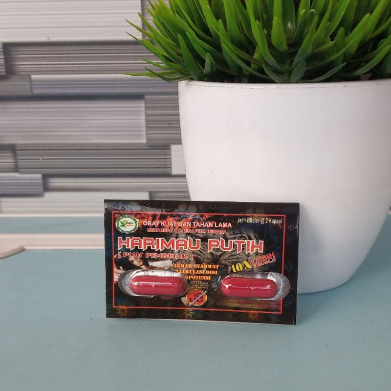 HARIMAU PUTIH Herbal Kuat Lelaki Tahan Lama Obat Pria Dewasa (1Blister isi 2Kapsul)