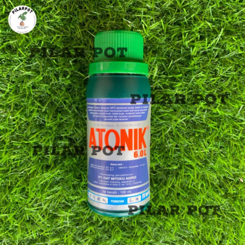 pupuk hormon zat pengatur tumbuh atonik 6.0L 100ml