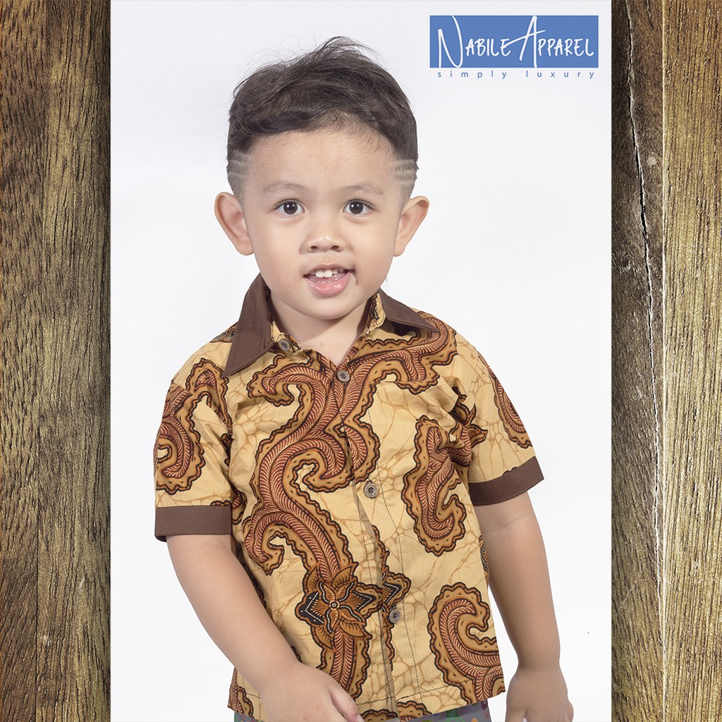 KEMEJA BATIK ANAK LAKI-LAKI / HEM BATIK ANAK BALITA / BATIK ANAK MODERN