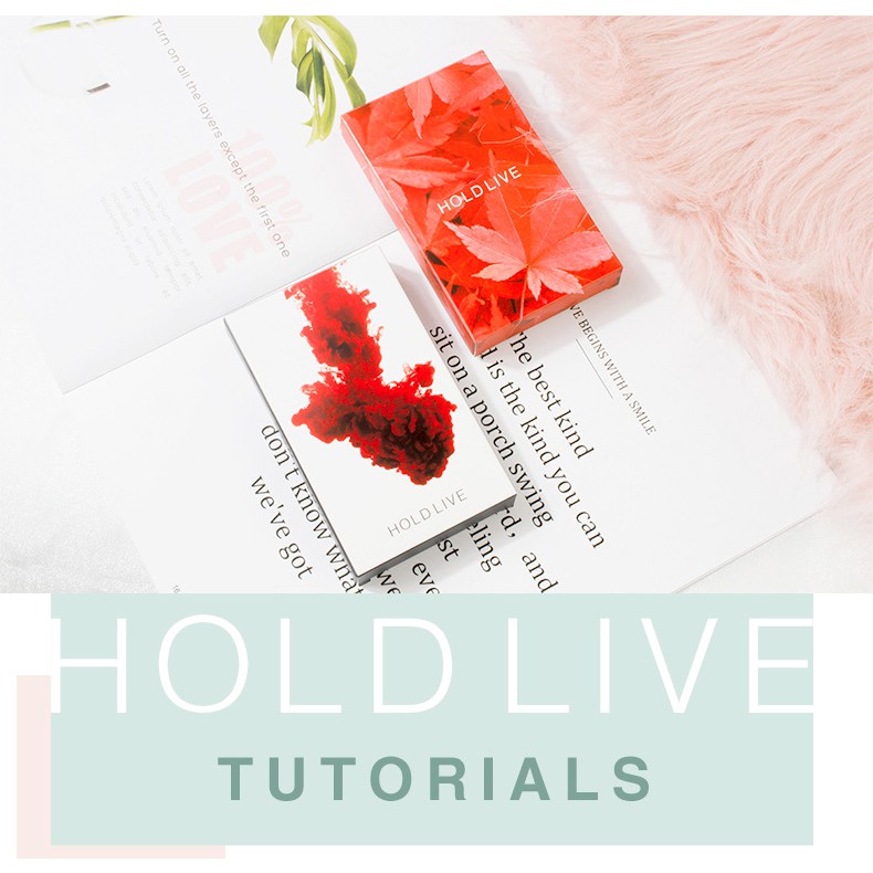 HOLD LIVE 12 Colors Ink Eyeshadow &amp; Red Maple Velvet Eyeshadow