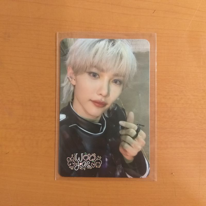 Felix ds double side photocard in life