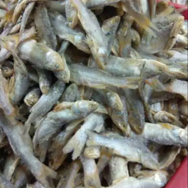 

Ikan Senagin kecil 250gr