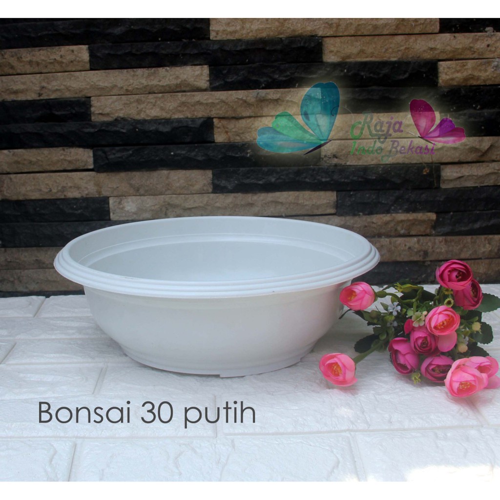 Pot Bonsai Bulat 30/ 40 CM / Bonsai Tawon Putih | Pot Tanaman BonsaI Plastik Pot Bonsai Ceper