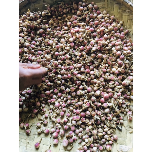 

Bumbu kapulaga kering