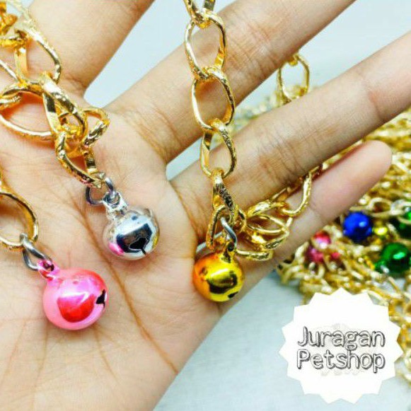 KALUNG EMAS KUCING | Kalung Cantik Untuk kucing | All Size