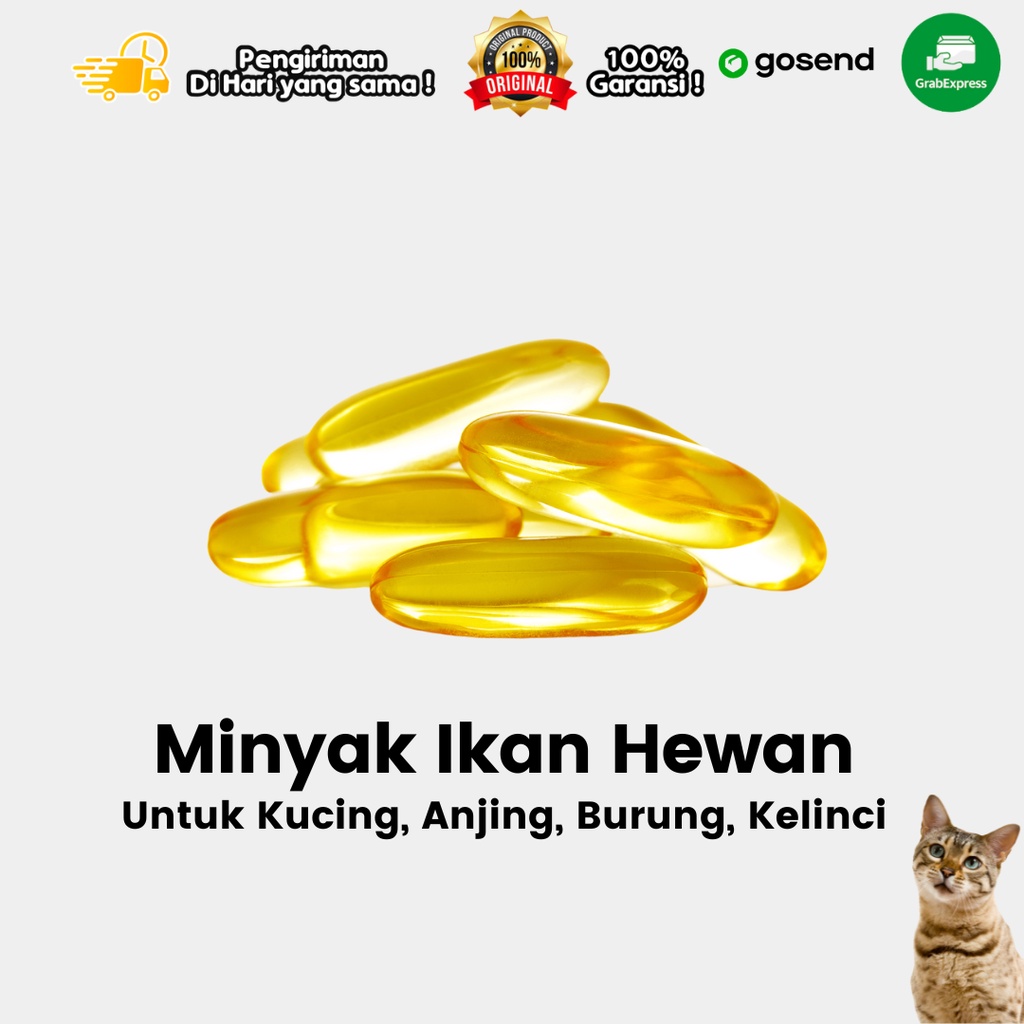 Minyak Ikan Hewan Peliharaan Kucing Anjing Kelinci Meningkatkan Daya Tahan Tubuh Gembul Fish Oil