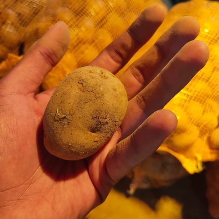 

Kentang dieng (kecil) 250gr - 500gr