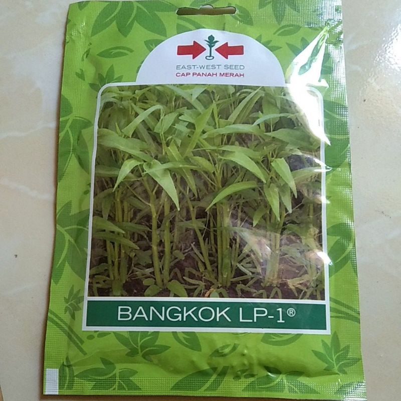 Benih kangkung Bangkok LP-1