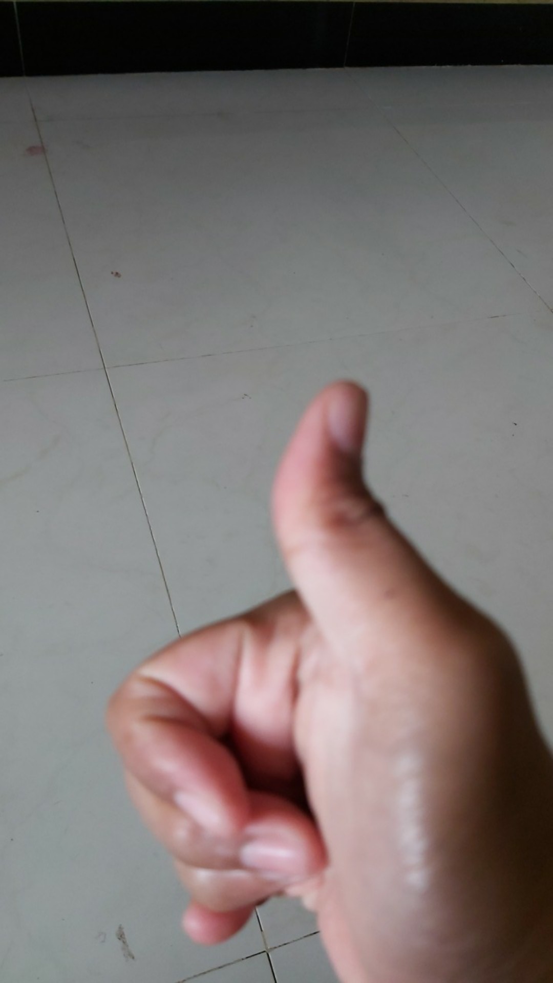 Box Container Shinpo Sip 116 Cb 130 Mega