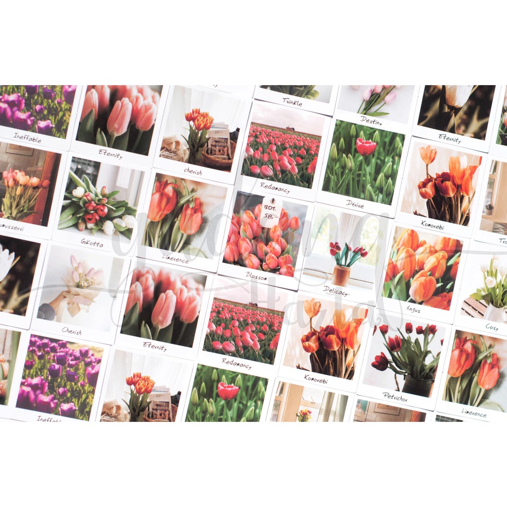 Stiker Tulip Kotak Lucu DIY Scrapbook Sticker GH 303456