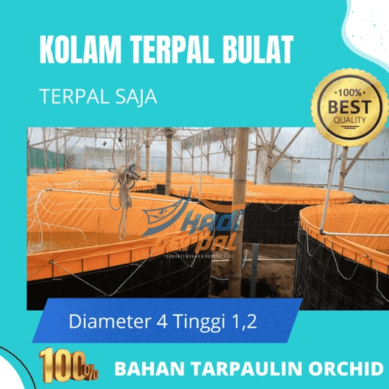 Diameter 4 tinggi 1,2 TERPAL SAJA MERK ORCHID kolam terpal bulat