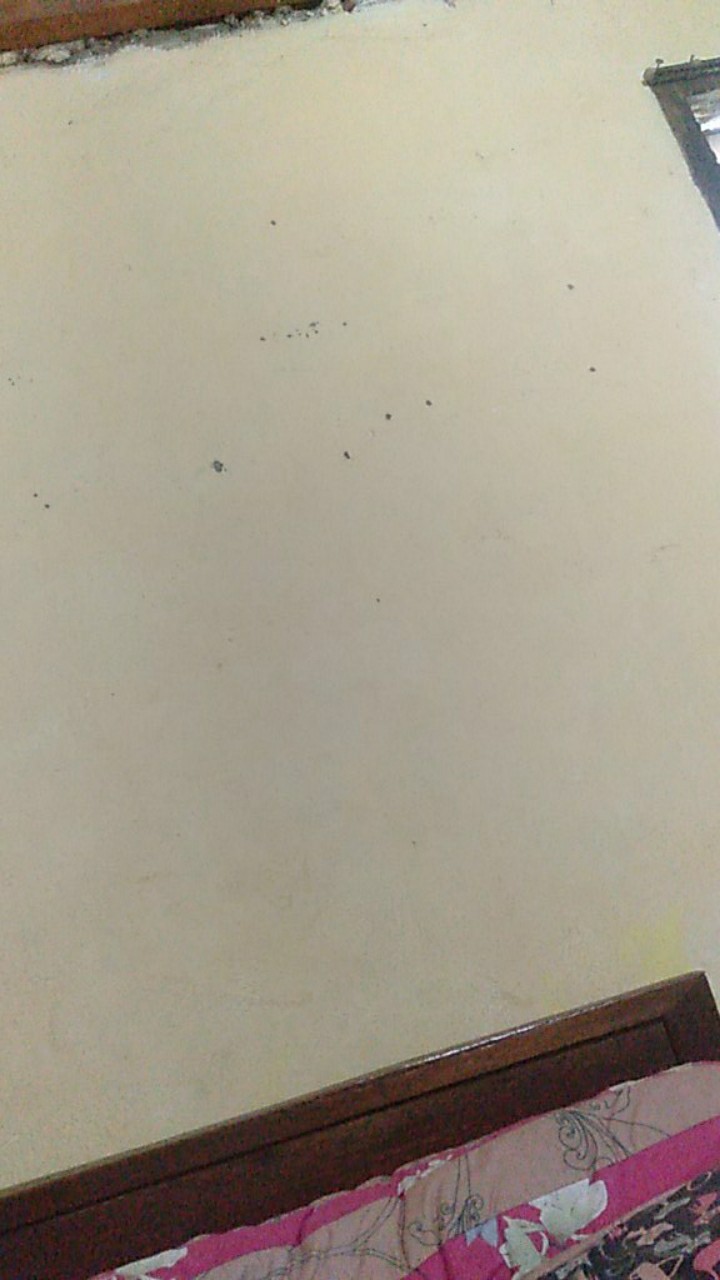 Mega Nanda Kemeja Batik Pria Katun Sragenan Full Furing