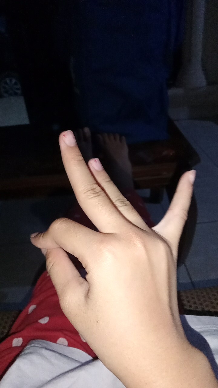 Keranjang Lipat Serbaguna / Storage Box Organizer Multifungsi