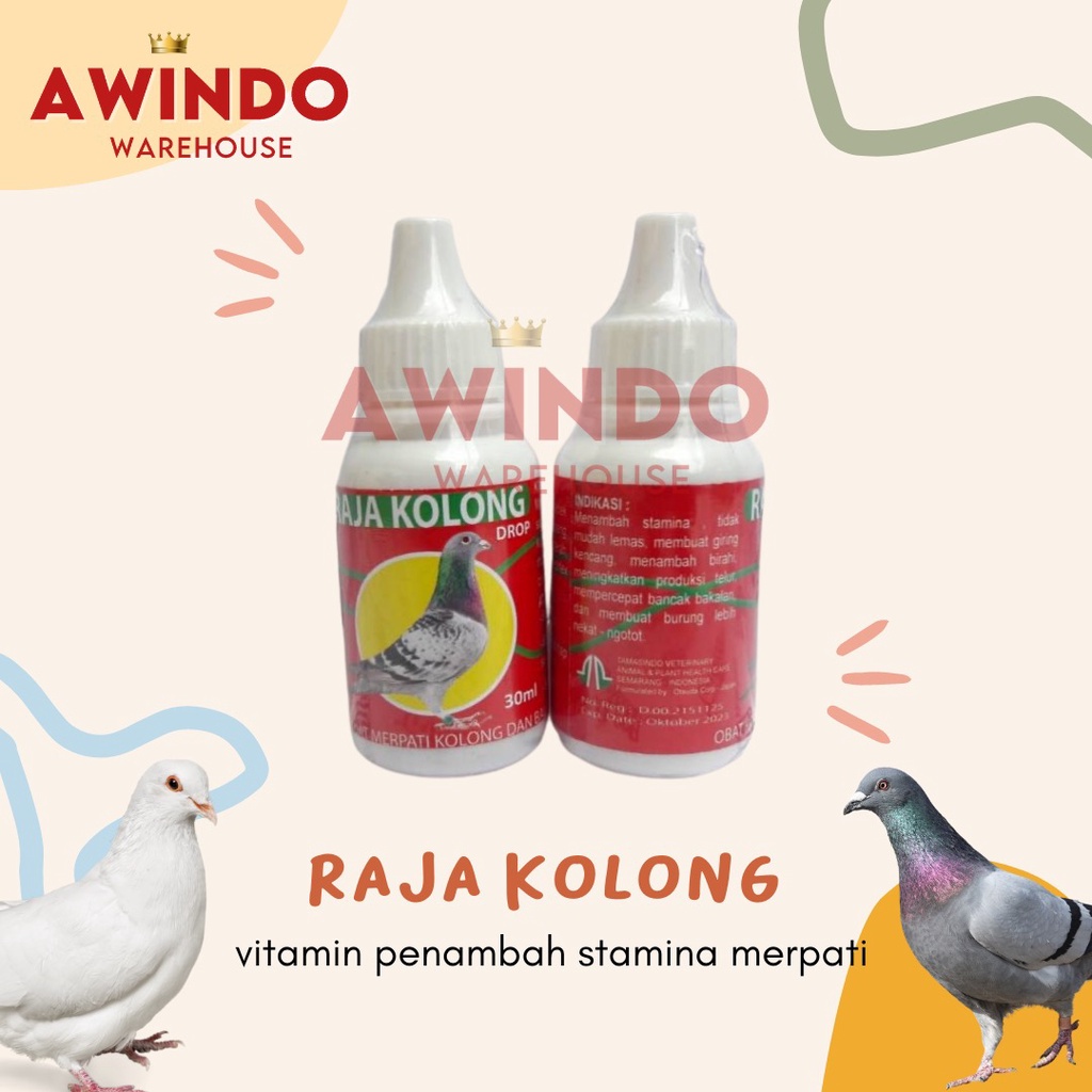 RAJA KOLONG - Vitamin Stamina Burung Merpati Kolong Jantan Betina