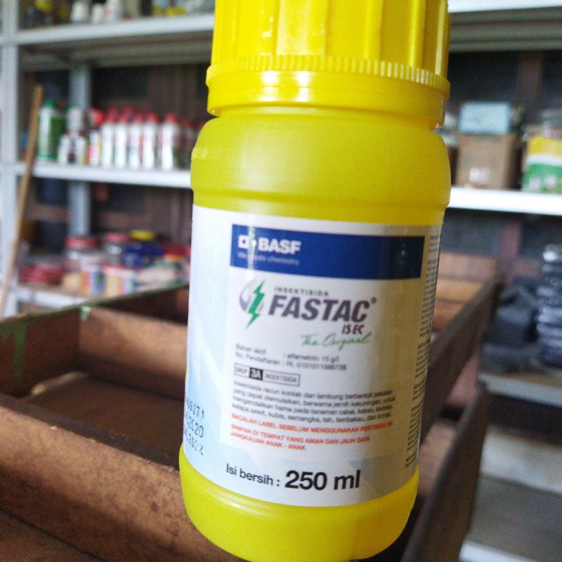 FASTAC INSEKTISIDA 100 ML