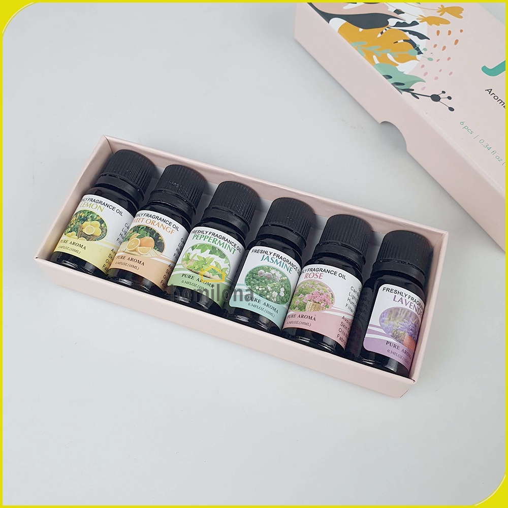 Pure Aroma Essential Fragrance Oil Minyak Aromatherapy Paket 6 8 atau 12 Botol Taffware HUMI