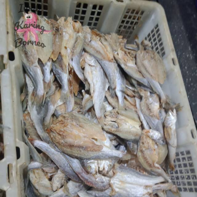 Ikan Asin Kepala Batu Kering 250 Gram Ikan Belama Super