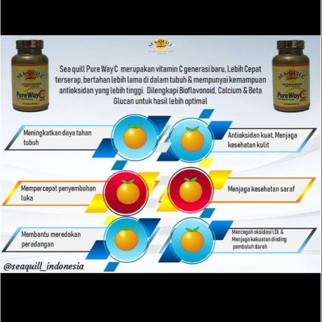 Sea quill pure way c