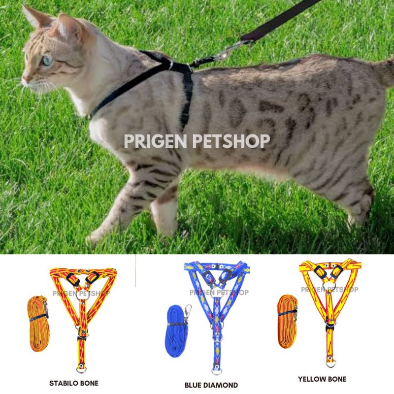 Jual TALI HARNESS KUCING DAN ANJING KECIL - TALI TUNTUN KUCING - TALI