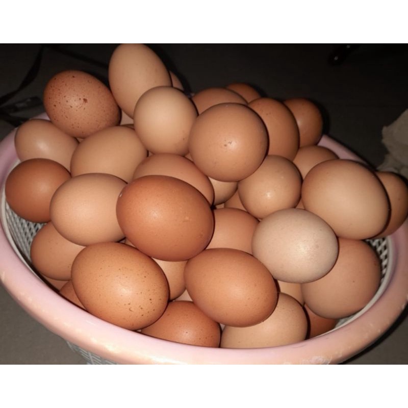 

TELUR AYAM NEGRI FRESH /kg