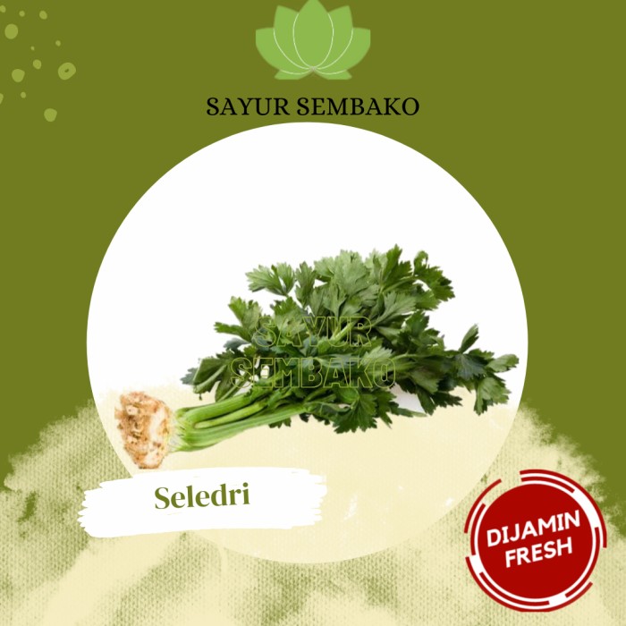 

Seledri (250gr)