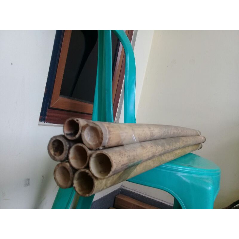 Bambu tamiang bahan suling panjang 60 cm