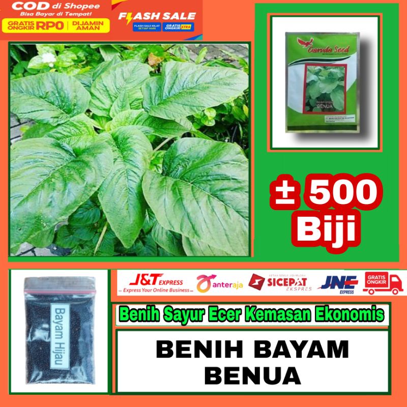 Benih Bayam Petik Lokal / Bayam Kripik / Bayam Kakap / Bayam Jumbo Merek Benua Garuda Sed Kemasan Ek