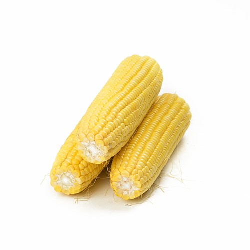 

JAGUNG MANIS 1 PCS