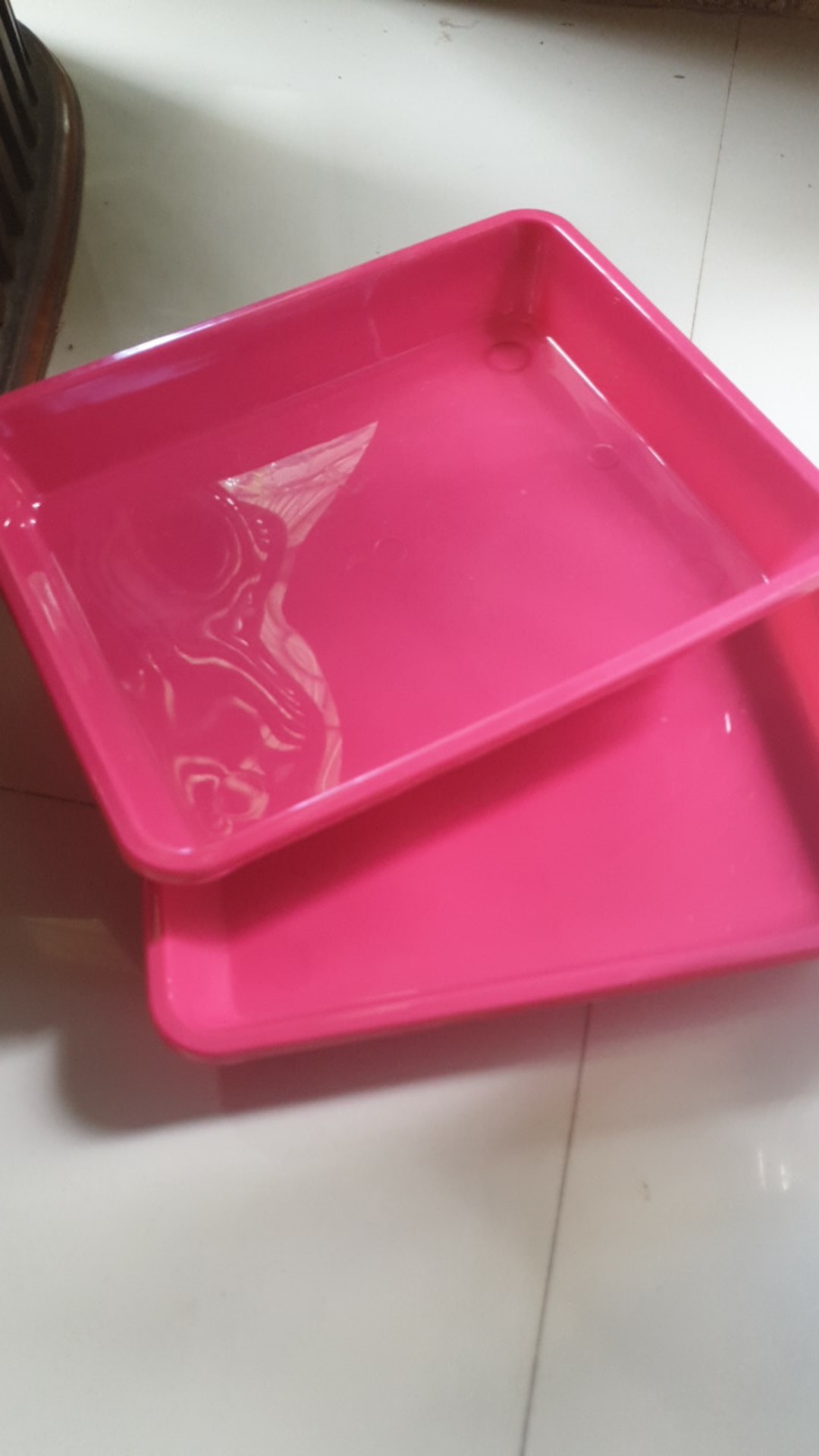 Nampan / Baki Semai Hidroponik Medium