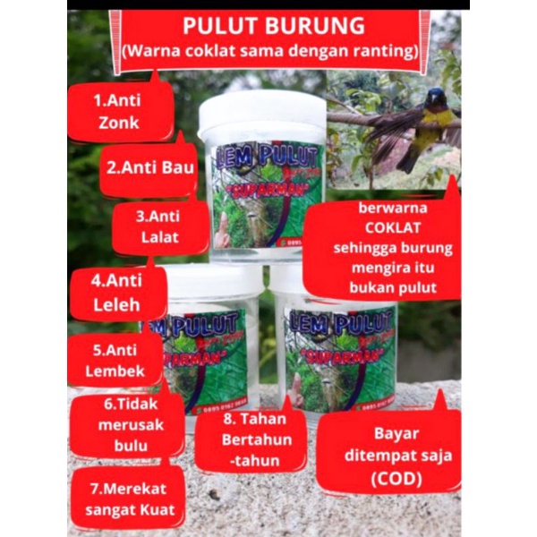 

LEM PULUT/pikat BURUNG untuk segala jenis burung
