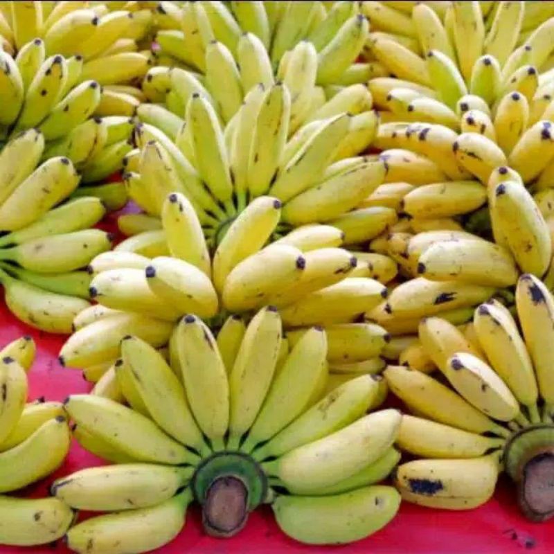 

pisang muli per 1 kg