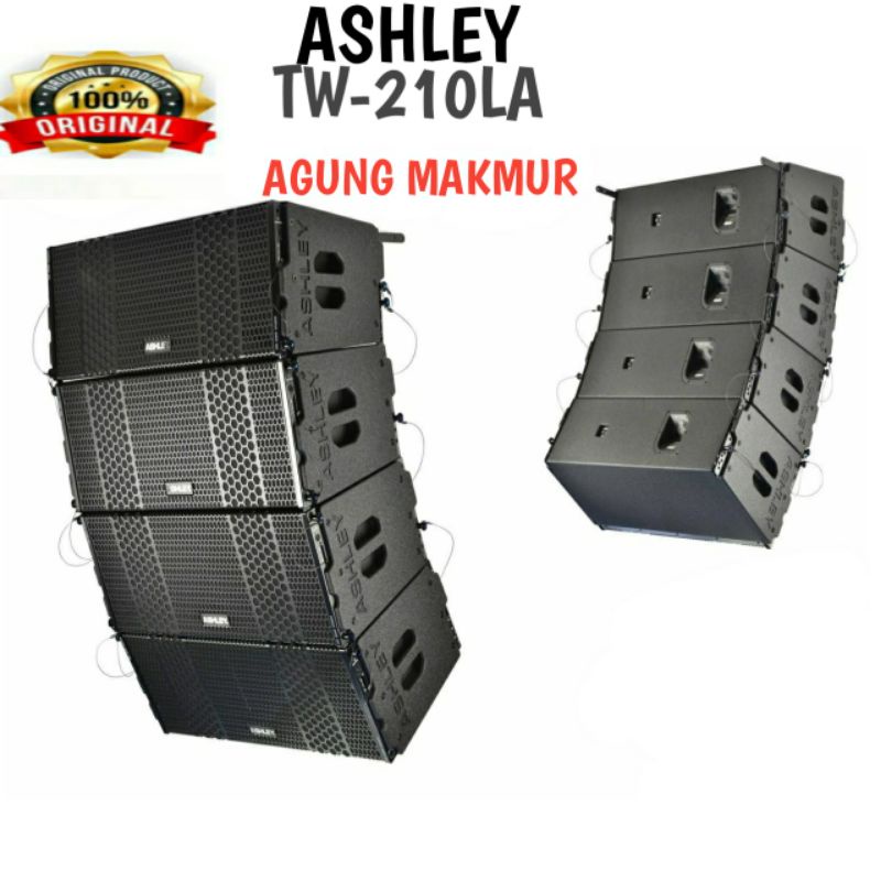 Speaker Line Array Ashley TW 210 LA Original Passive Array TW 210LA