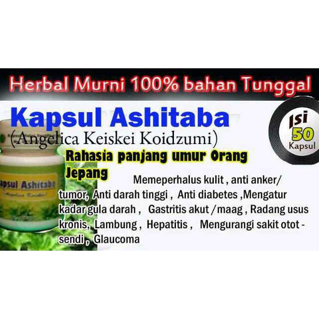 KAPSUL ASHITABA / Seledri Jepan – Angelica Keiskei Koidzumi Herbal Malaikat
